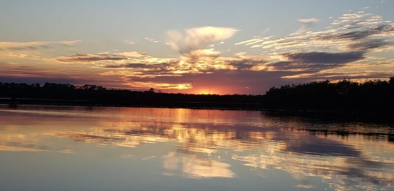 Daytona/New Smyrna Beach: Unforgettable Kayak Wildlife tours - Exploring the Itinerary