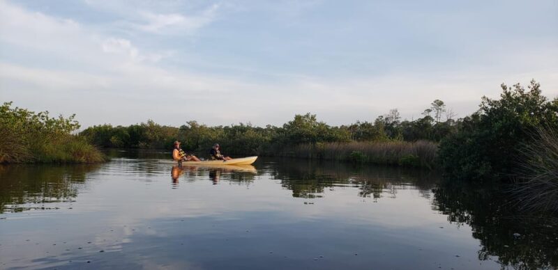 Daytona/New Smyrna Beach: Unforgettable Kayak Wildlife tours - Final Thoughts: Is This Tour Right for You?