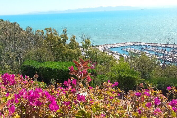 Daytrip Carthage Sidi Bousaid Bardo and Tunis Medina - Transportation and Practicalities