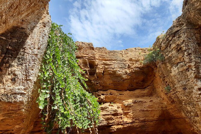 Daytrip to Kerkouen Unesco Site Kelibia and Houaria Caves - Key Points