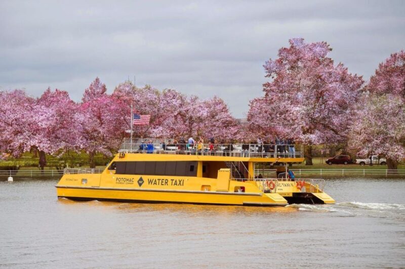DC: Hop-on Hop-off, Arlington Walking Tour, and Night Tour - A Closer Look at the Experience