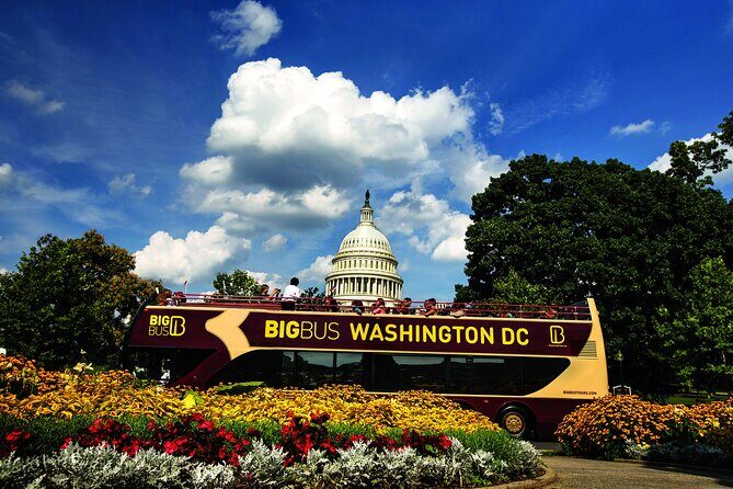 DC: Hop-on Hop-off Bus, Arlington Walking Tour, and Night Tour - Key Points