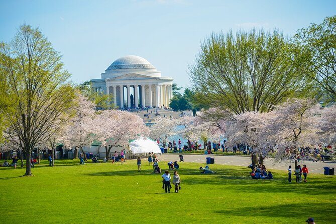 DC: Hop-on Hop-off Bus, Arlington Walking Tour, and Night Tour - The Sum Up: Who Should Consider This Tour?
