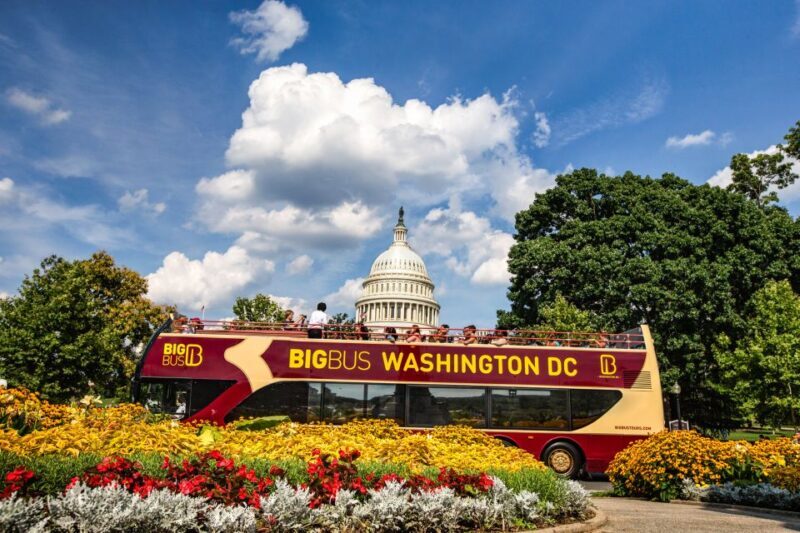 DC: Hop-On Hop-Off with 17 Stops plus Arlington Walking Tour - Practical Tips for Travelers