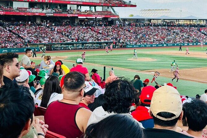 DE DE Baseball match day experience in DE Mexico City - Authenticity and Cultural Flavor