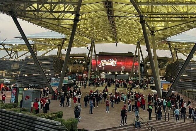 DE DE Baseball match day experience in DE Mexico City - Who Will Love This Experience?