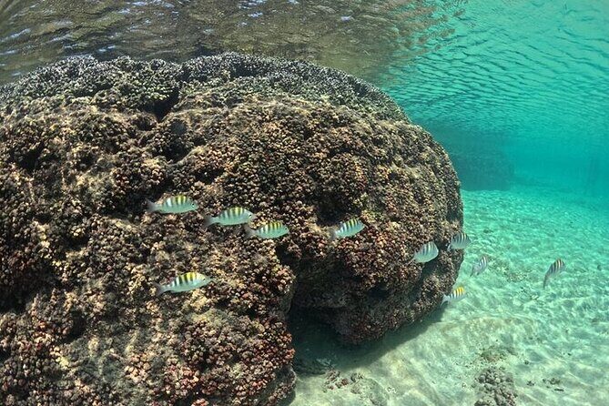 DE Huatulco Secret Reefs Snorkeling Tour DE Huatulco - Introduction