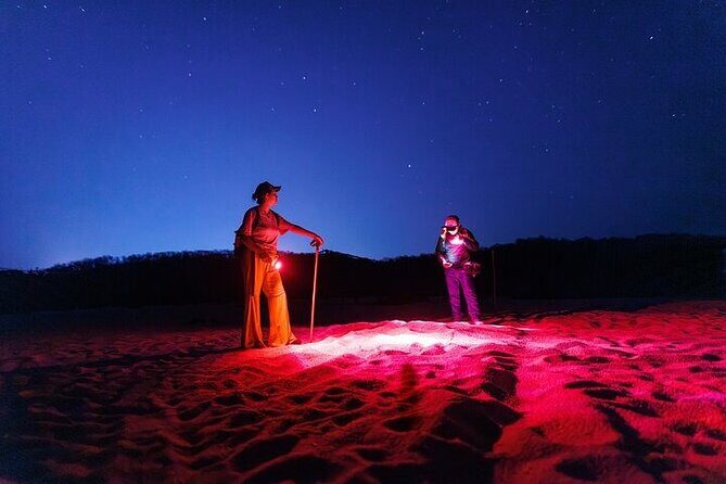 DE rismo and Night Monitoring of Sea Turtles - Key Points
