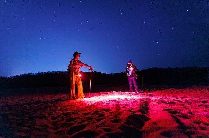 DE rismo and Night Monitoring of Sea Turtles - FAQ