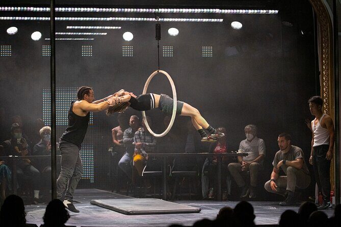 "Dear San Francisco" Aerial Extravaganza Show - What Makes the Show Special?