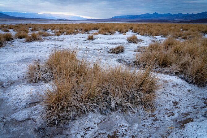 Death Valley National Park Self-Guided Audio Driving Tour - Value for Money and Practical Considerations