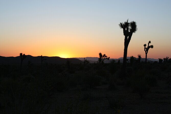 Death Valley Small Group Day Tour with Sunset and Stargazing - Key Points
