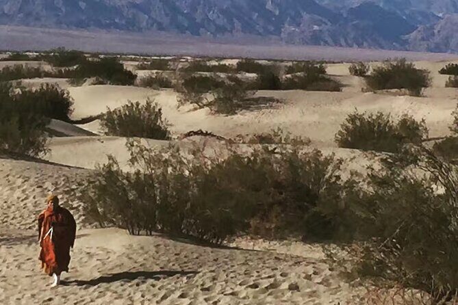 Death Valley Small Group Luxury SUV Day Tour - Frequently Asked Questions