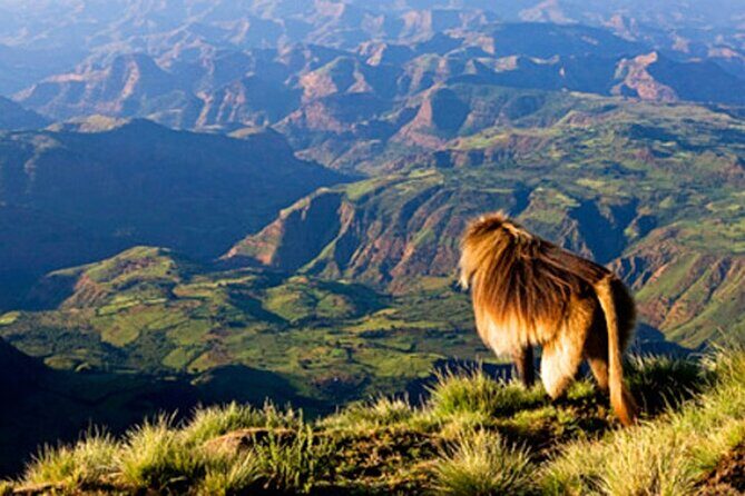 Debre Libanos and Portuguese bridge - Key Points