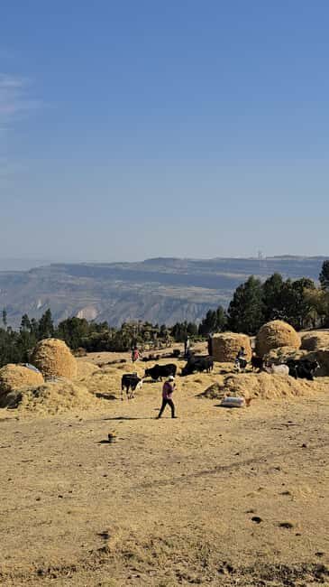Debre Libanos Full Day Tour from Addisabeba-Religious Histor - FAQ