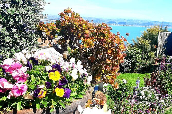 Deco Napier, Te Mata Peak, Garden Walk and Wine Tasting Tour - Exploring the Itinerary: What to Expect