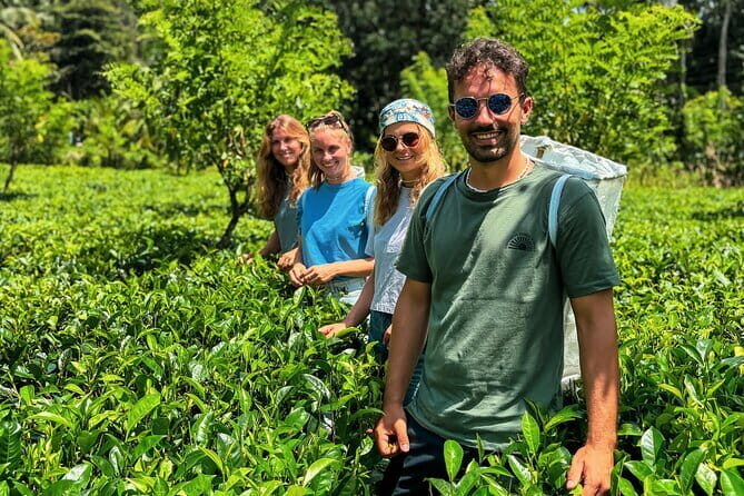 Dediyagala Village Tour(from Galle, Mirissa, Ahangama, Matara) - Key Points