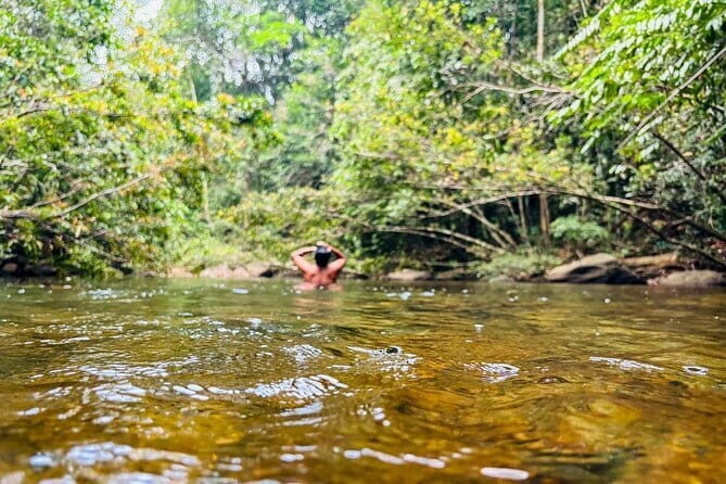 Dediyagala Village Tour(from Galle, Mirissa, Ahangama, Matara) - What is the Dediyagala Village Tour?
