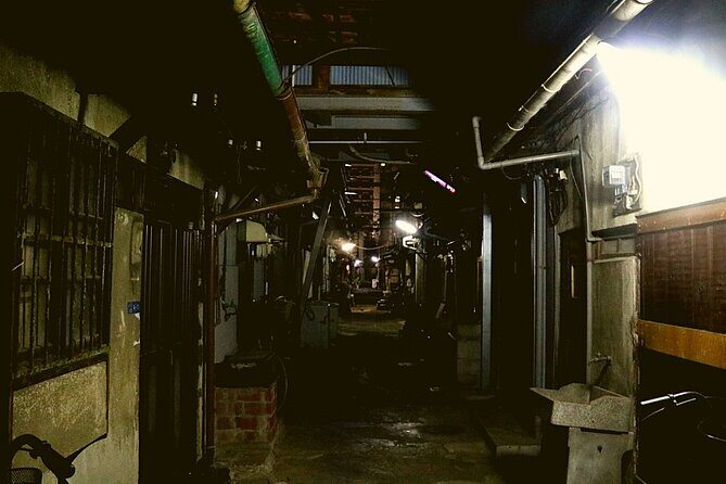 Deep Backstreet Osaka Tours (Option to add Dinner) - Value for Money
