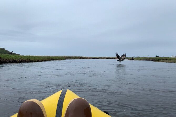 Deep Creek 1/2 Day Packraft Tour - The Cost & Value