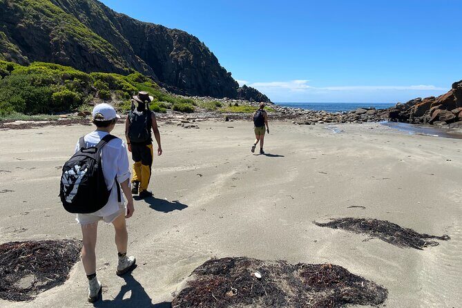 Deep Creek Hike: Trails and Tales with a Foreign Flair - Who Will Love This Tour?