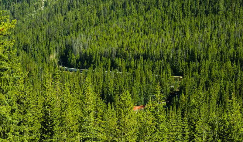 Deep Day Tour to Emerald, Moraine, Louise Lake, J. Canyon... - Who Will Love This Tour?