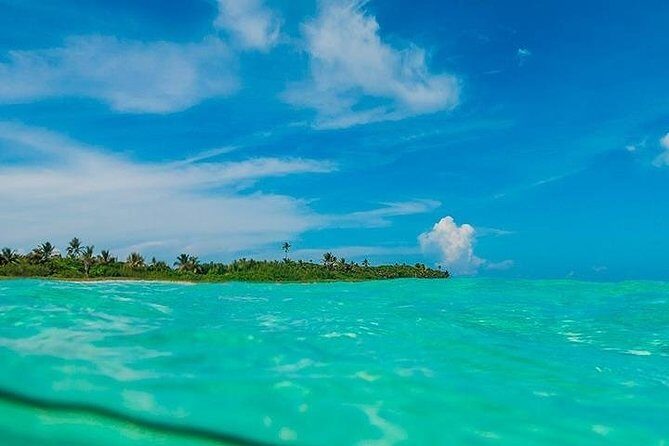 Deep into Nature at Sian Ka'an Biosphere! Round Transportation From Riviera Maya - Introduction: Your Gateway to Nature’s Hidden Treasure