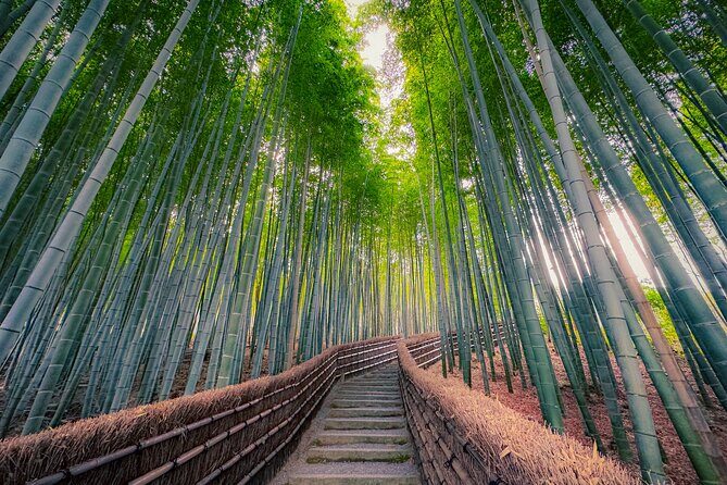 Deep Kyoto Tour in Private Van - guided by Local Expert - Practical Aspects and Value