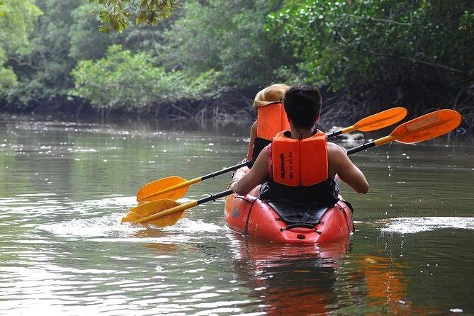 Deep Mangrove and Canyon Kayak Tour in Krabi - The Authentic Krabi Experience You’ll Cherish