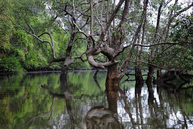 Deep Mangrove and Canyon Kayak Tour in Krabi - Frequently Asked Questions