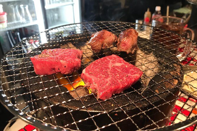 Deep Osaka Night Life, Eat & Drink! - Final Thoughts: Who Should Take This Tour?