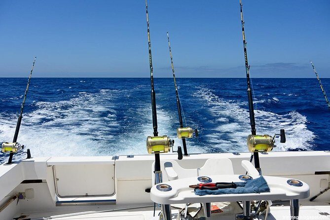 Deep Sea Fishing Tour - An In-Depth Look at the Deep Sea Fishing Tour
