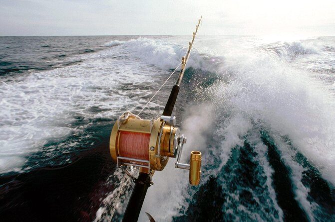 Deep Sea Fishing Tour - Final Thoughts