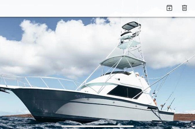 Deep Sea Sport Fishing - The Sum Up
