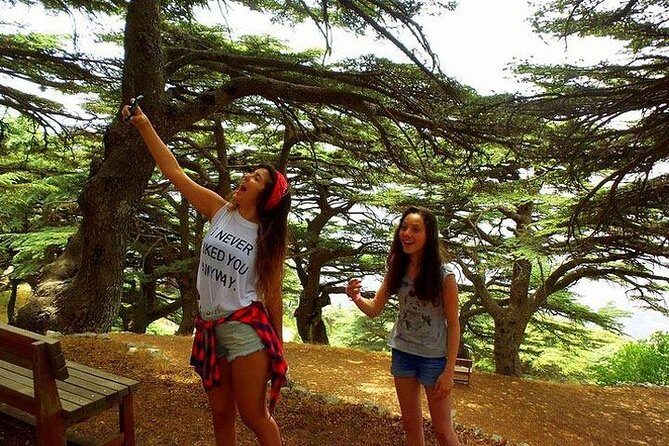 Deir Al-Qamar, Beiteddine Palace and Barouk Cedars Tour - The Natural Beauty of Shouf Cedars Reserve