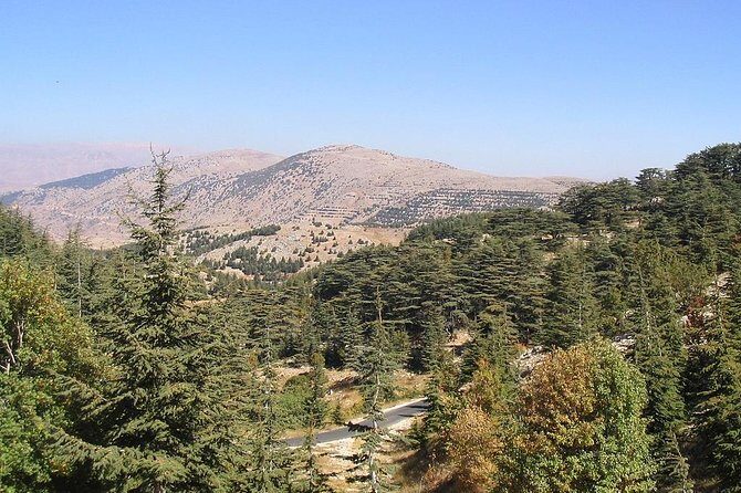 DeirElkamar, Beitdeen, Moussa Palace, EinwZien Grotto,Full-Day Trip PRIVATE-CAR - Why This Tour Offers Great Value