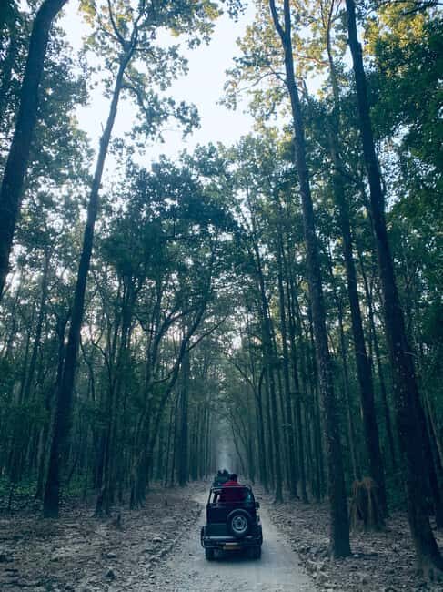 Delhi: 2-Day Jim Corbett Safari Adventure - The Sum Up: Who This Tour Is Perfect For