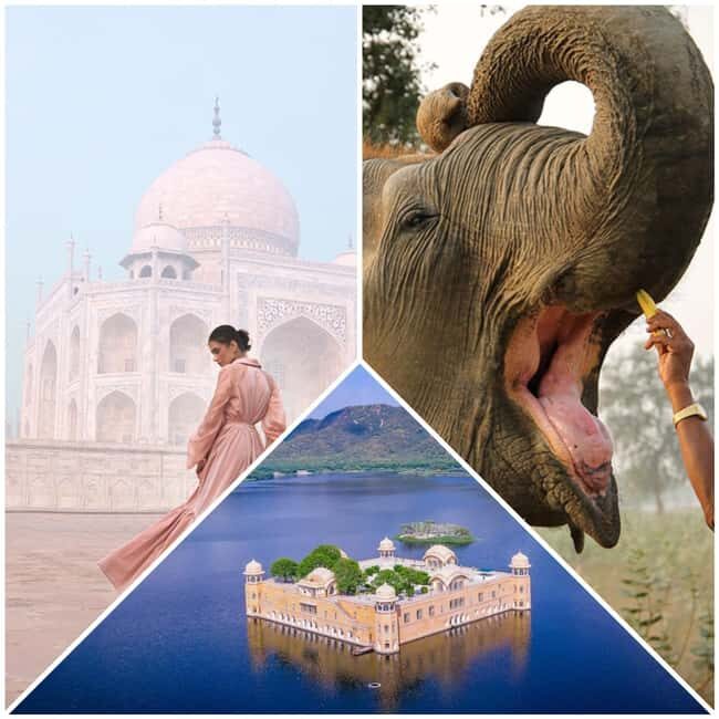 Delhi: 2Day Agra & Jaipur Tour with Elephant SOS and 5*Hotel - Key Points