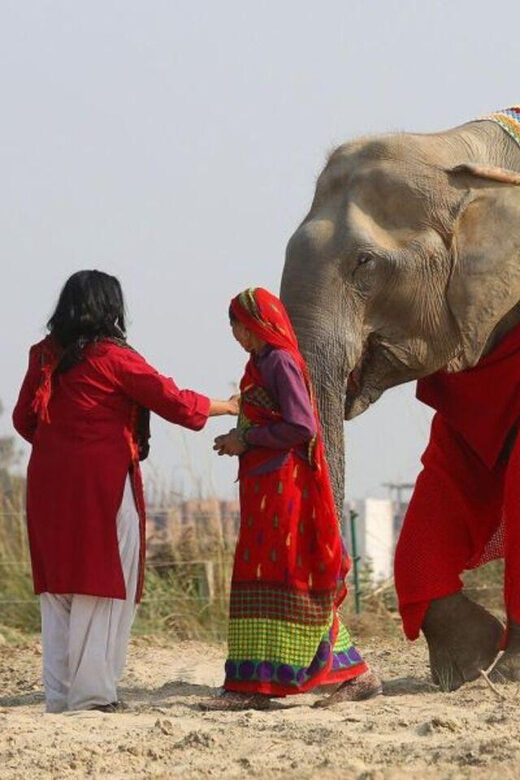 Delhi: 3Day Golden Triangle with Elephant SOS (5 Star Hotel) - Exploring Delhi: A City of Contrasts