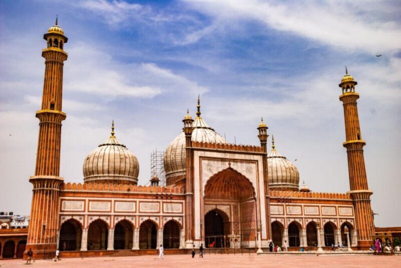 Delhi: All Inclusive Old & New Delhi Full & Half Day Tour - Who Should Consider This Tour?