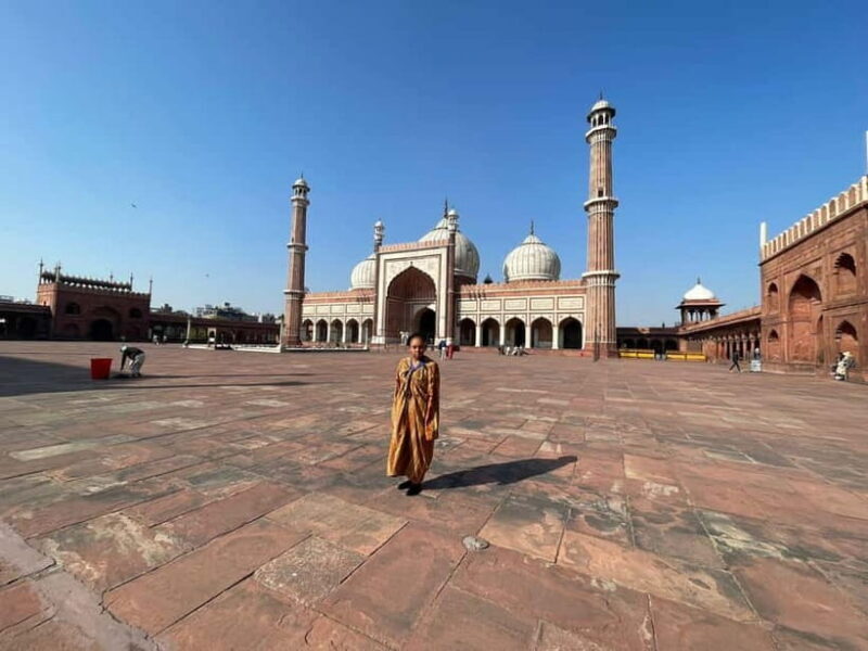 Delhi: Old and New Delhi Private Full or Half-Day Tour - Introduction