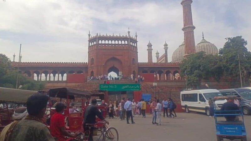 Delhi: Old Delhi City Tour with Tuk-Tuk Ride & Street Food - An Overview of the Tour: History, Culture, and Flavor