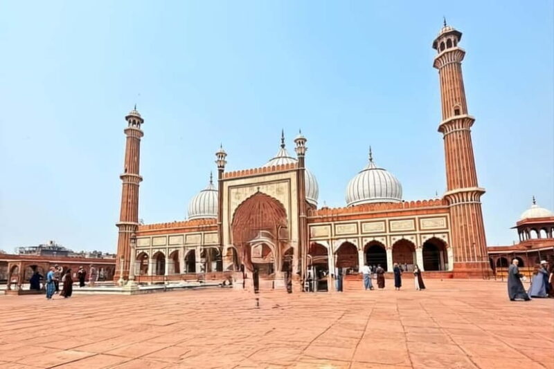 Delhi: Old & New Delhi Private Guided Full or Half-Day Tour - Transportation, Comfort, and Practicalities