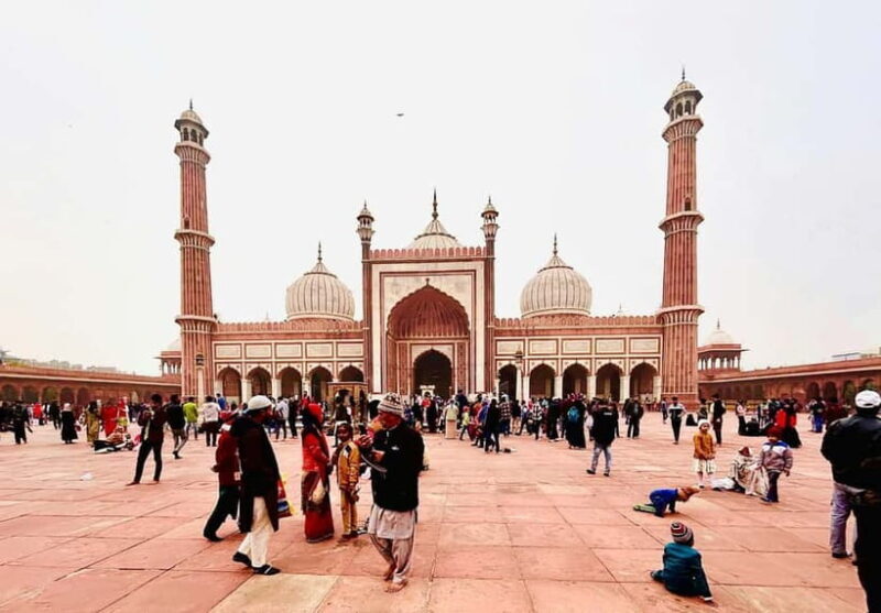 Delhi: Private Full Day New Delhi City Explorer with Guide - An In-Depth Look at the Tour Experience