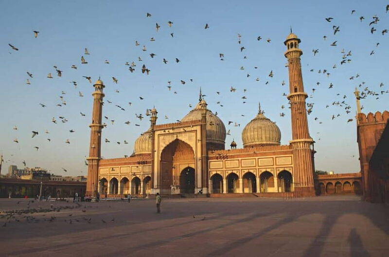 Delhi: Private Full-Day Tour of Old & New Delhi - The Sum Up