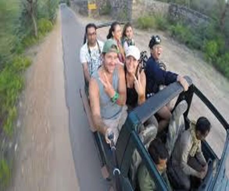 Delhi: Ranthambore National Park 3-Day Trip w/ Tiger Safari - Authentic Safari Experience with Expert Guides