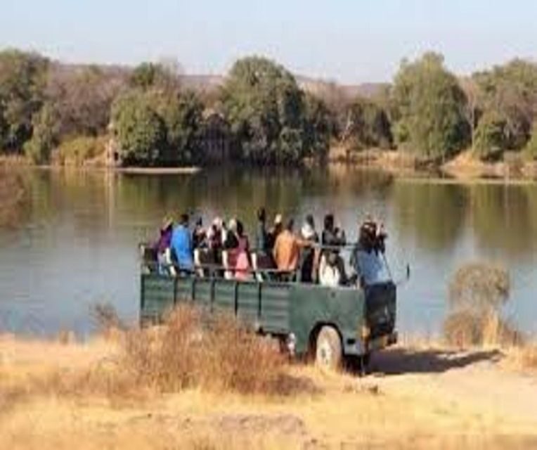 Delhi: Ranthambore National Park 3-Day Trip w/ Tiger Safari - Final Thoughts