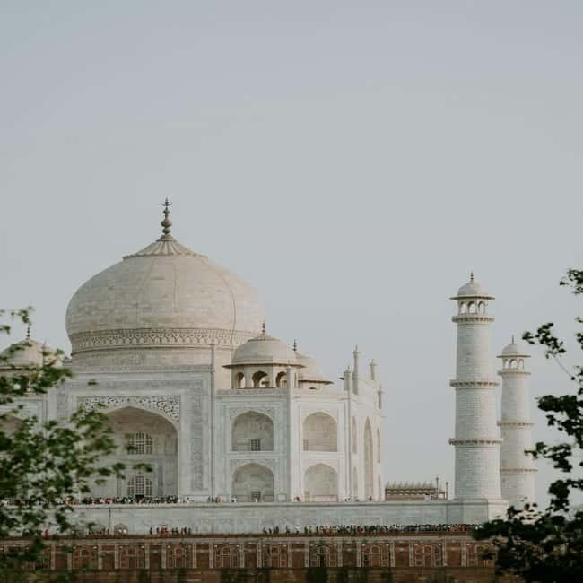 Delhi: Same Day Taj Mahal & Agra Fort Tour from Delhi by Car - Who Is This Tour Best Suited For?