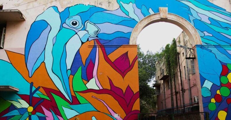 Delhi Street Art Tour - Introduction