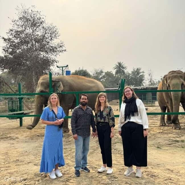 Delhi: Sunrise Taj Mahal & Elephant SOS Tour with Transfers - An In-depth Review of the Tour Experience